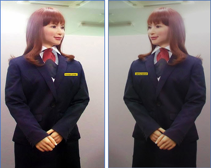 Possibility of Future Air Stewardesses