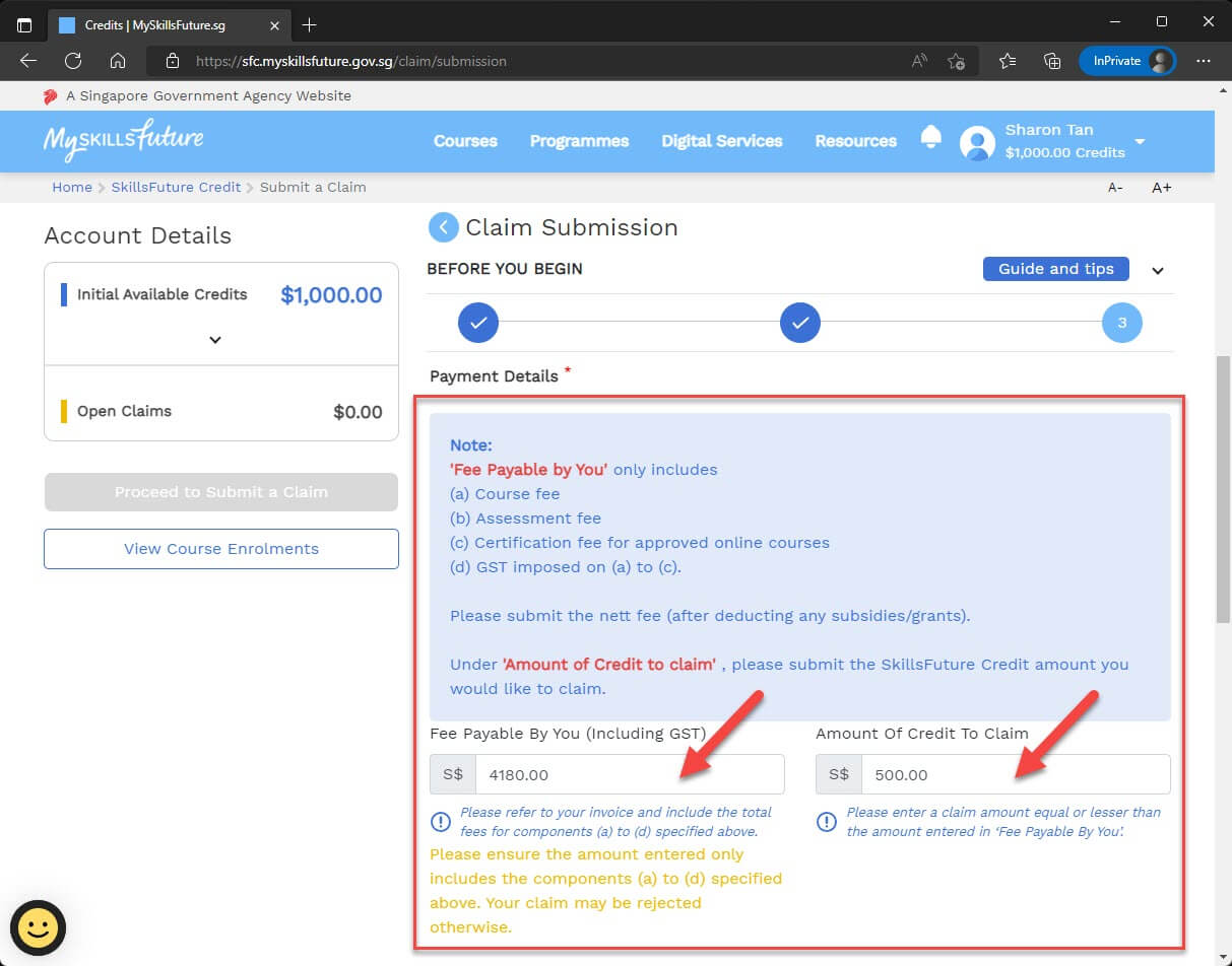 Input the payment details