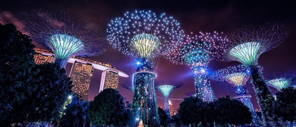 The Supertrees at Gardens by the Bay at night