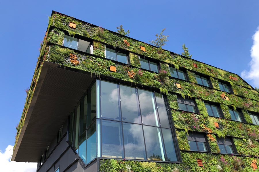 An office building with a green living wall